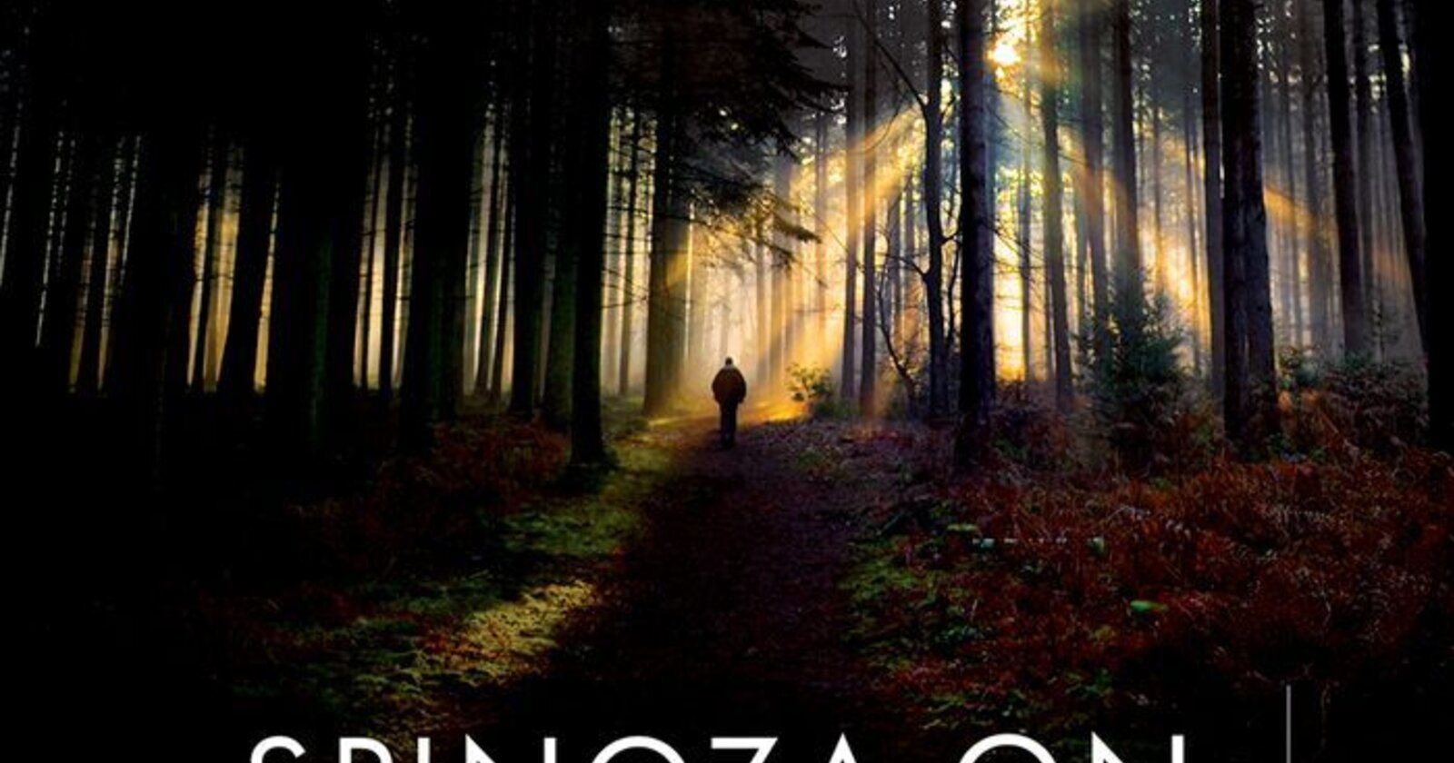 Spinoza: a essência humana sob nova ótica monista