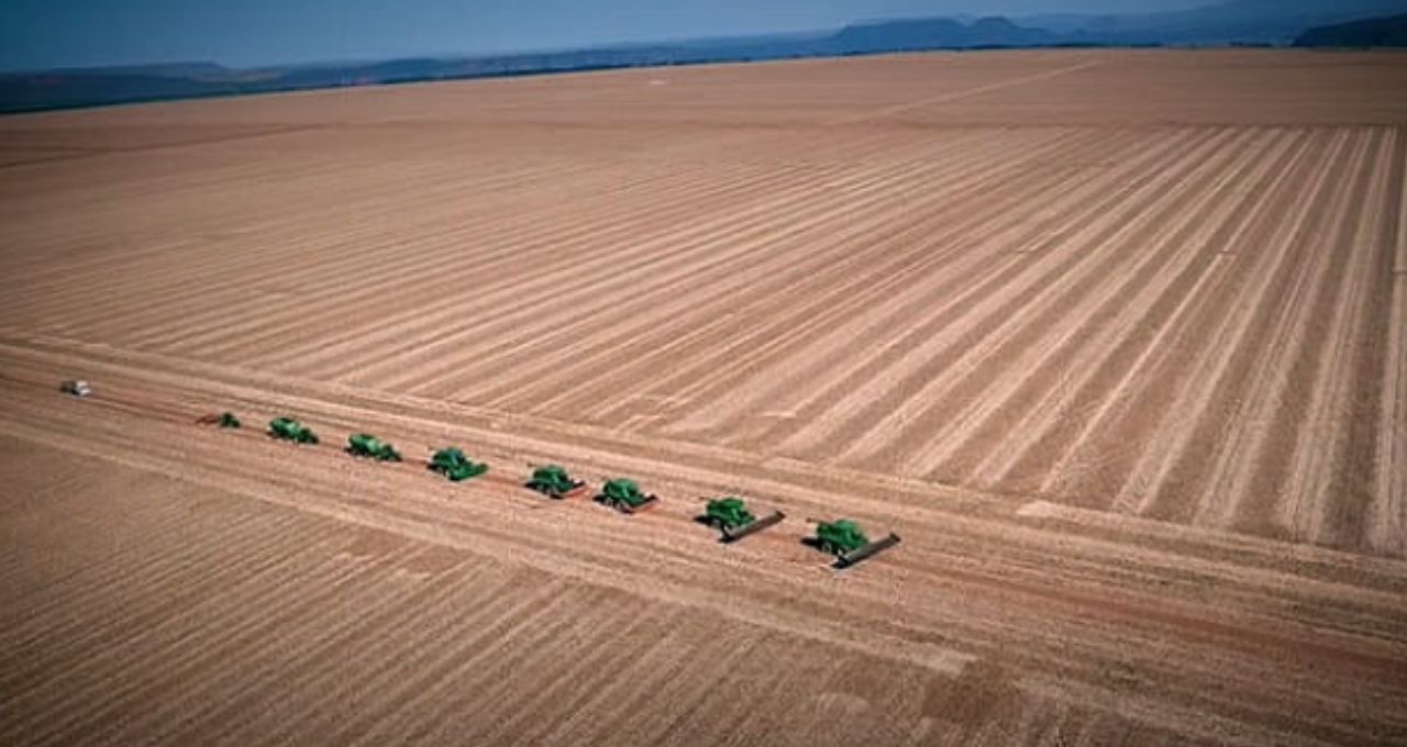SLC Agrícola analisa compra de terras da Radar em movimento estratégico no Mato Grosso