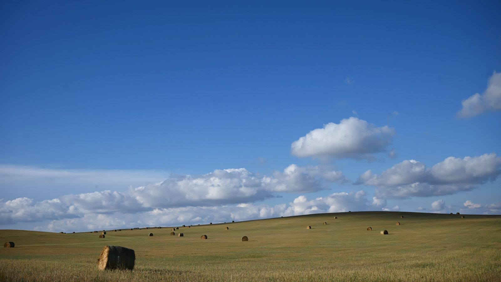Oleoduto em Montana: Dinheiro para fazendeiros, temor de derramamento para tribos