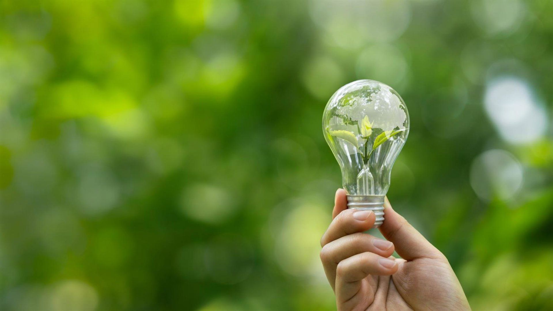 EthiFinance e ESG Book fundem operações para desafiar gigantes de rating nos EUA