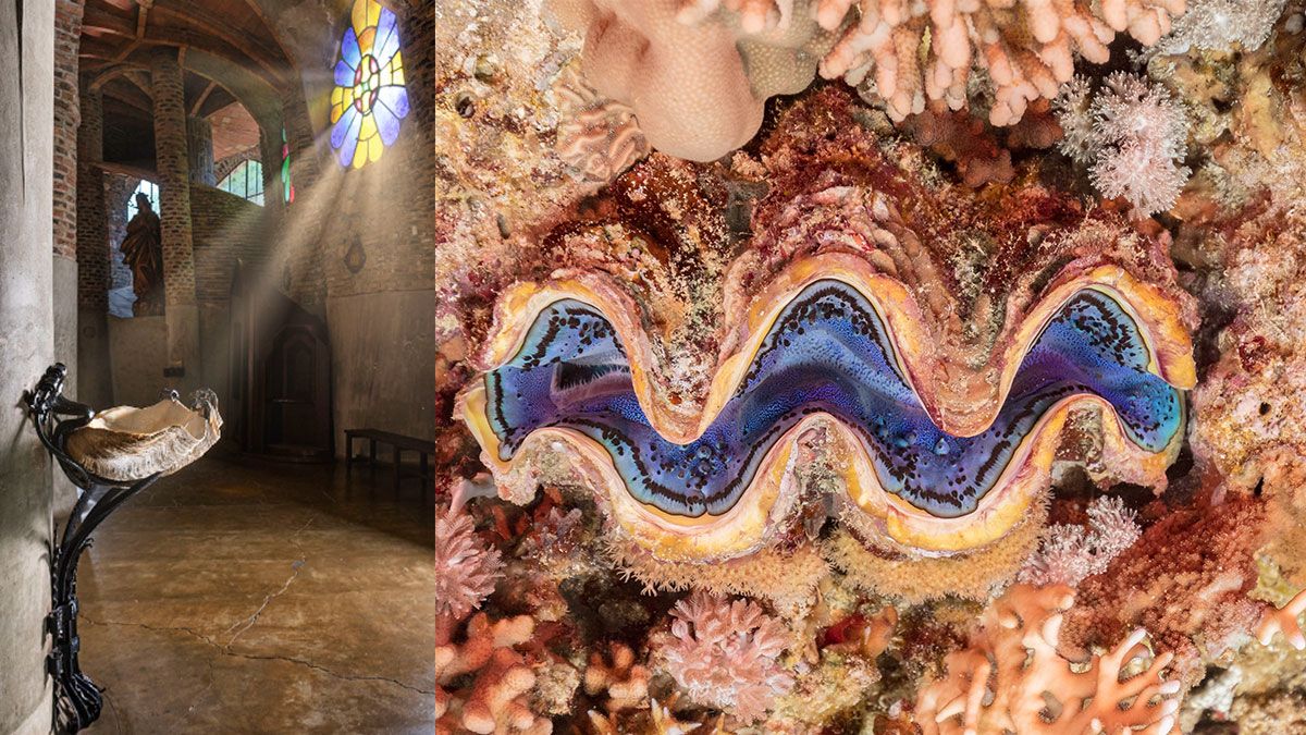 Gaudí usou almejas filipinas em arte sacra na Cripta Güell