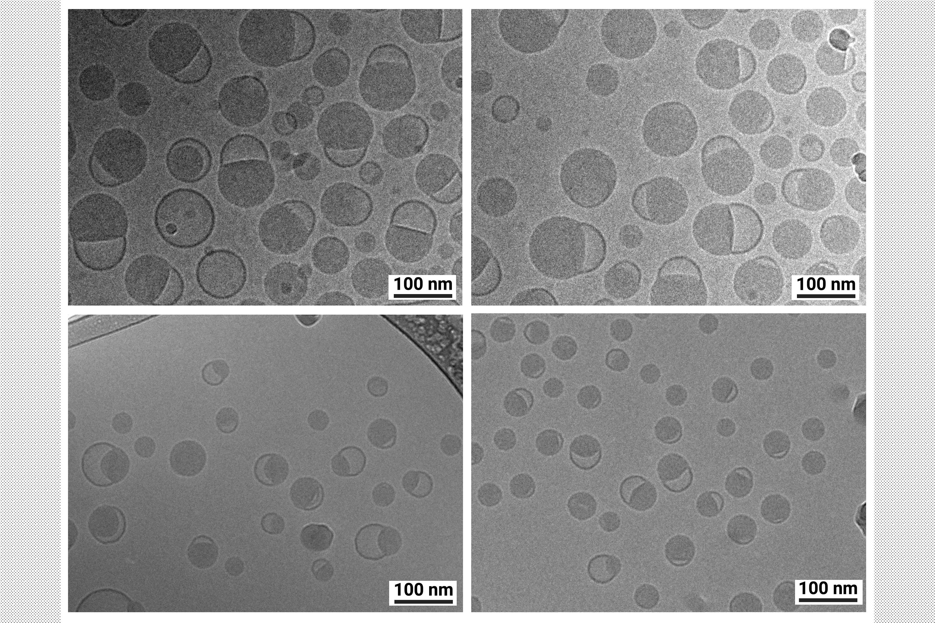MIT acelera terapias de RNA com nova técnica de nanopartículas