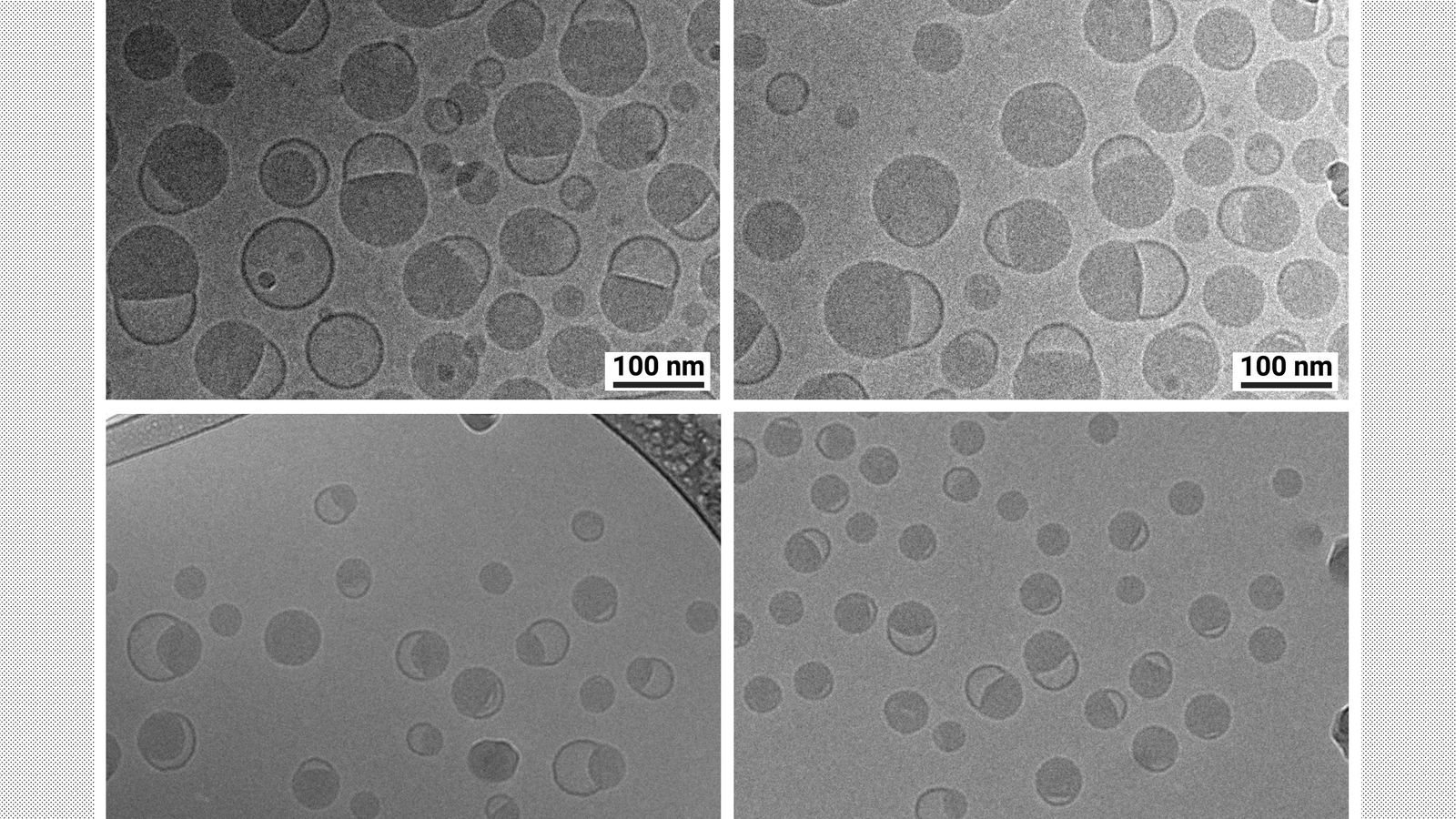 MIT acelera terapias de RNA com nova técnica de nanopartículas