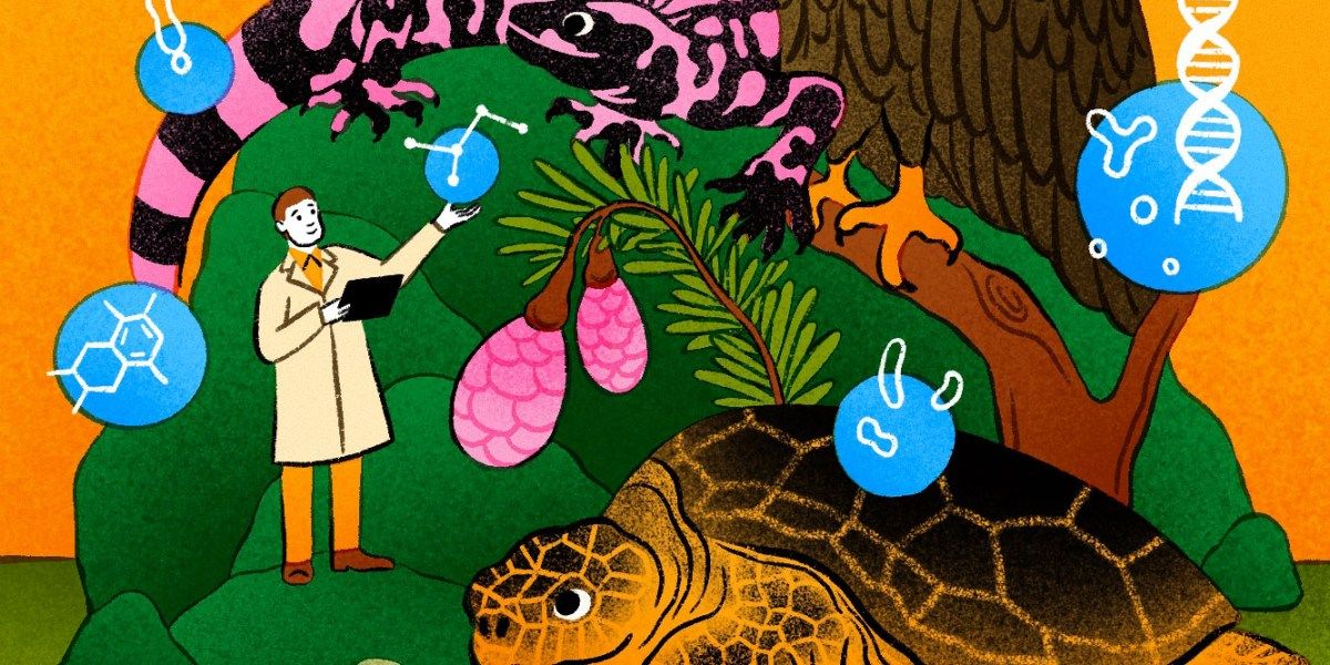 Tim Cernak cria a 'química da conservação' — e muda o futuro da biotecnologia animal