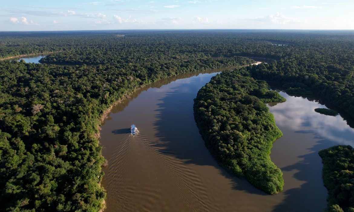 BNDES destina R$ 200 milhões para Mombak restaurar 7,2 mil hectares na Amazônia