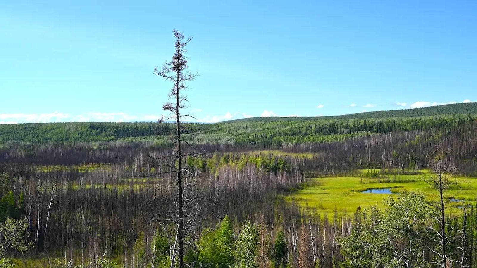 Alaska pré-histórica revela segredos de caçadores há 13.800 anos