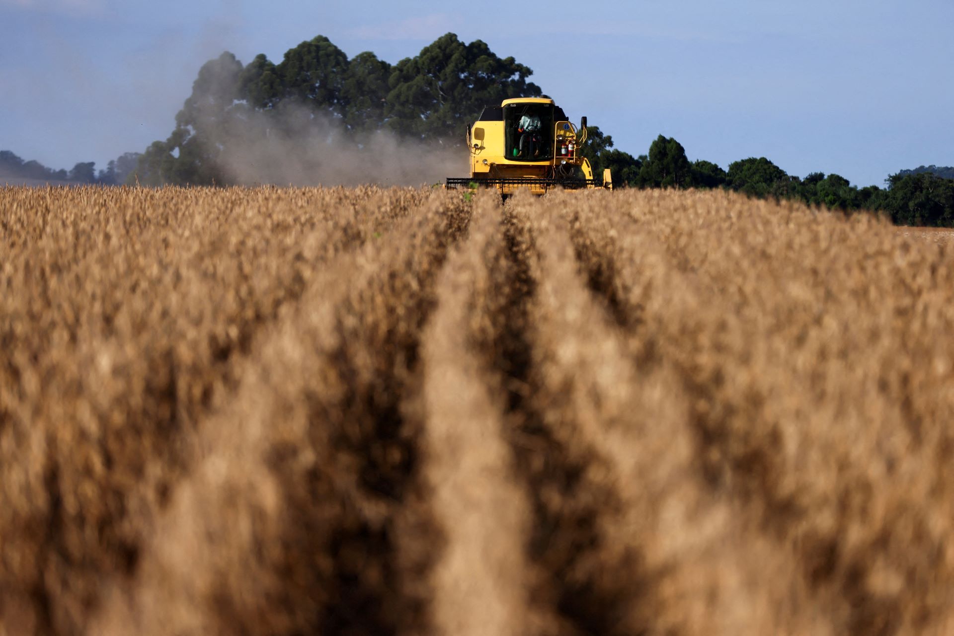 El Niño pressiona o agro na Bolsa — veja quais ações estão na mira da XP