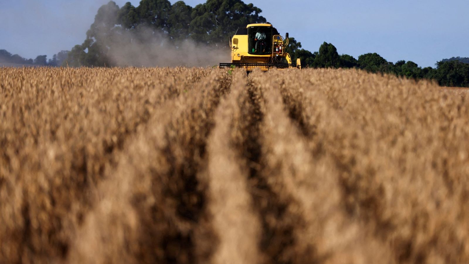 El Niño pressiona o agro na Bolsa — veja quais ações estão na mira da XP
