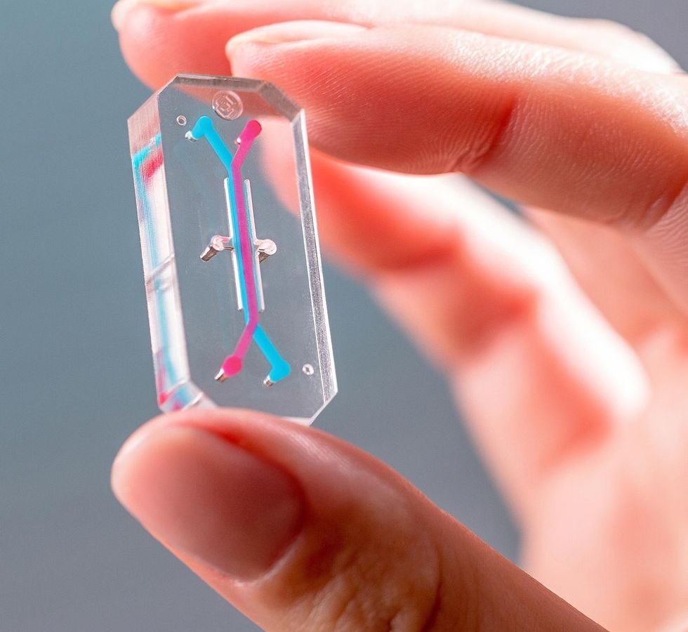Chips em vez de cobaias: ciência avança, mas adota tecnologia a contragosto