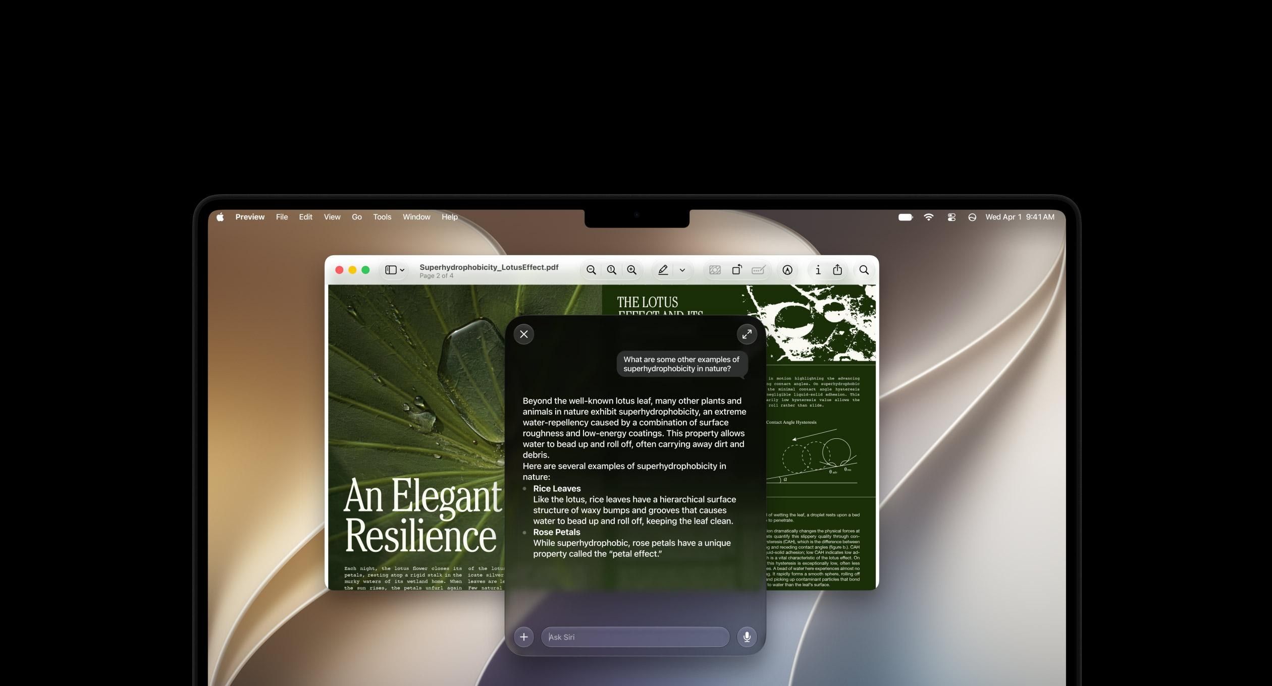 Ferramenta open-source permite apagar dados de IA da Apple no Mac