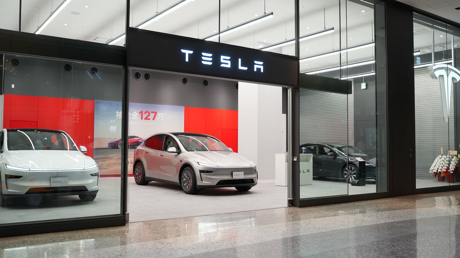 Tesla: analistas preveem queda de 5% nas entregas do 3º tri de 2026