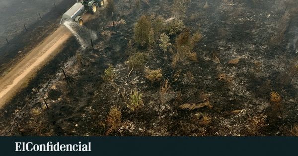 O chatbot que virou herbicida: a colheita perdida na China