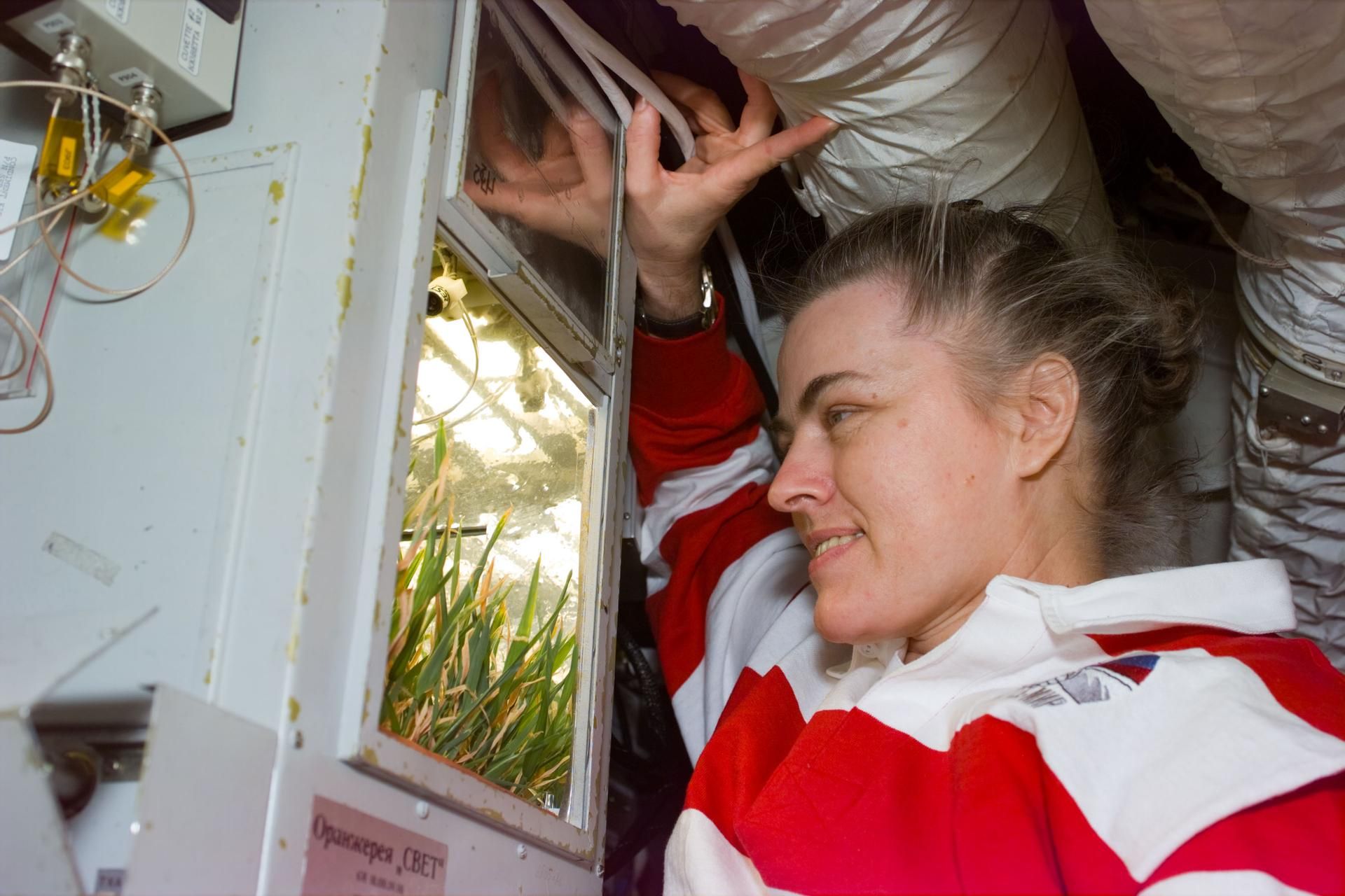 Shannon Lucid: 188 dias na Mir que redefiniram voos espaciais