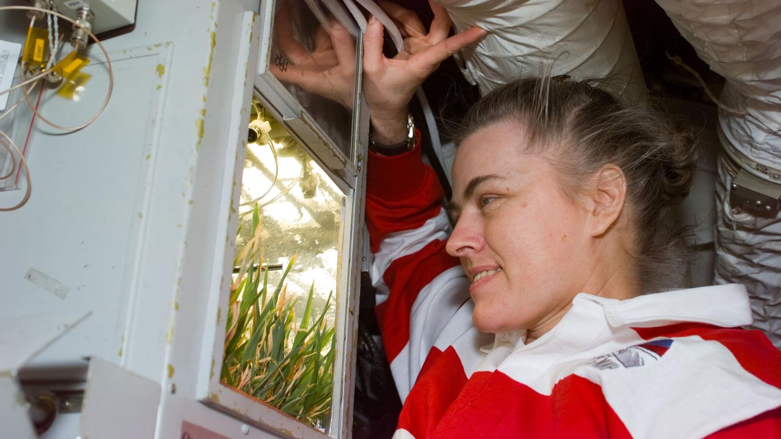 Shannon Lucid: 188 dias na Mir que redefiniram voos espaciais