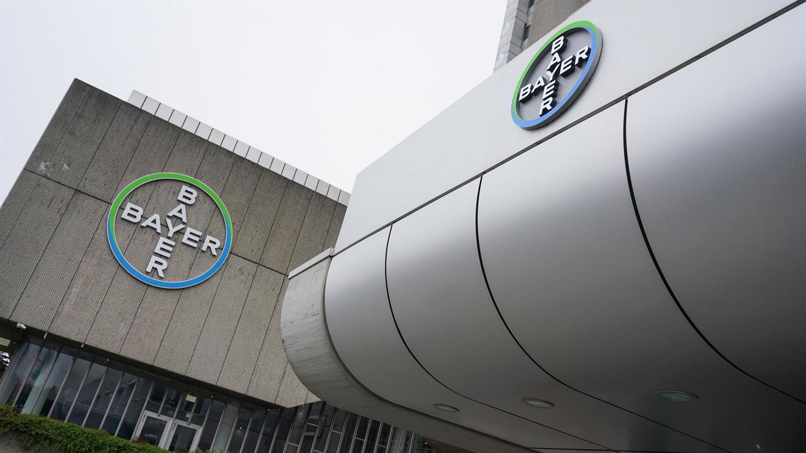 Bayer cria Ruveon para isolar risco e blindar glifosato nos EUA