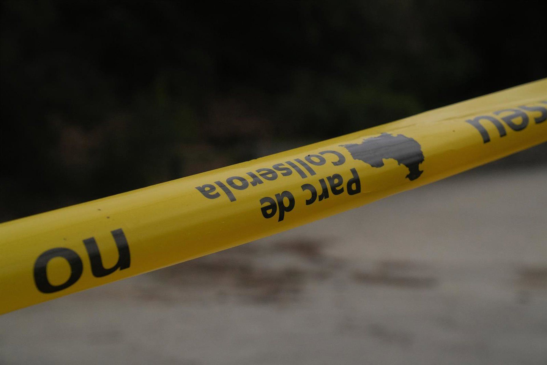 Peste suína africana avança na Catalunha e eleva alerta sanitário