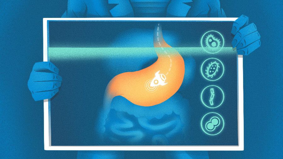 Tiny Health capta US$ 33 milhões para decifrar dados do microbioma