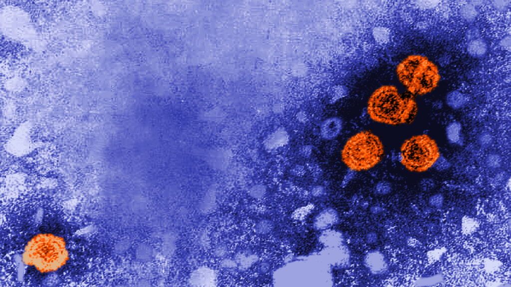 GSK tem aprovação da FDA para novo tratamento de hepatite B