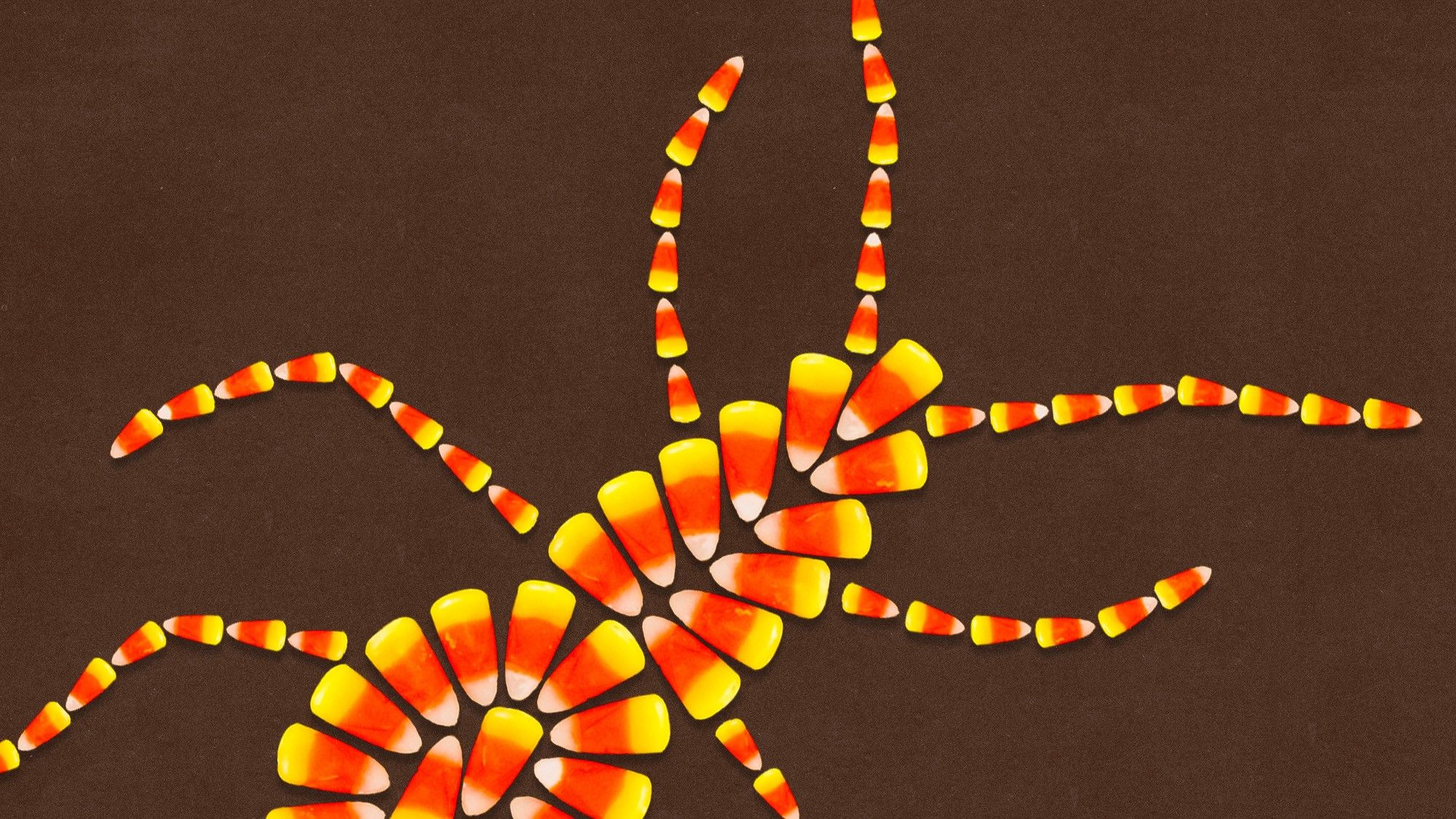 Candy Corn e Doces de Halloween: A Secreção de Insetos que Você Come