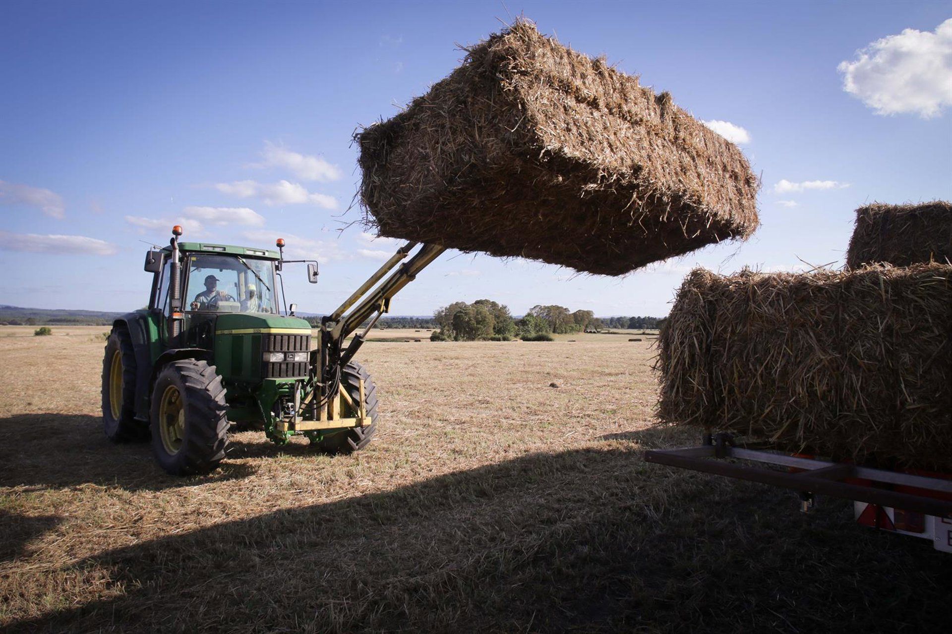 Espanha prorroga ajuda a diesel agrícola, mas setor a considera insuficiente