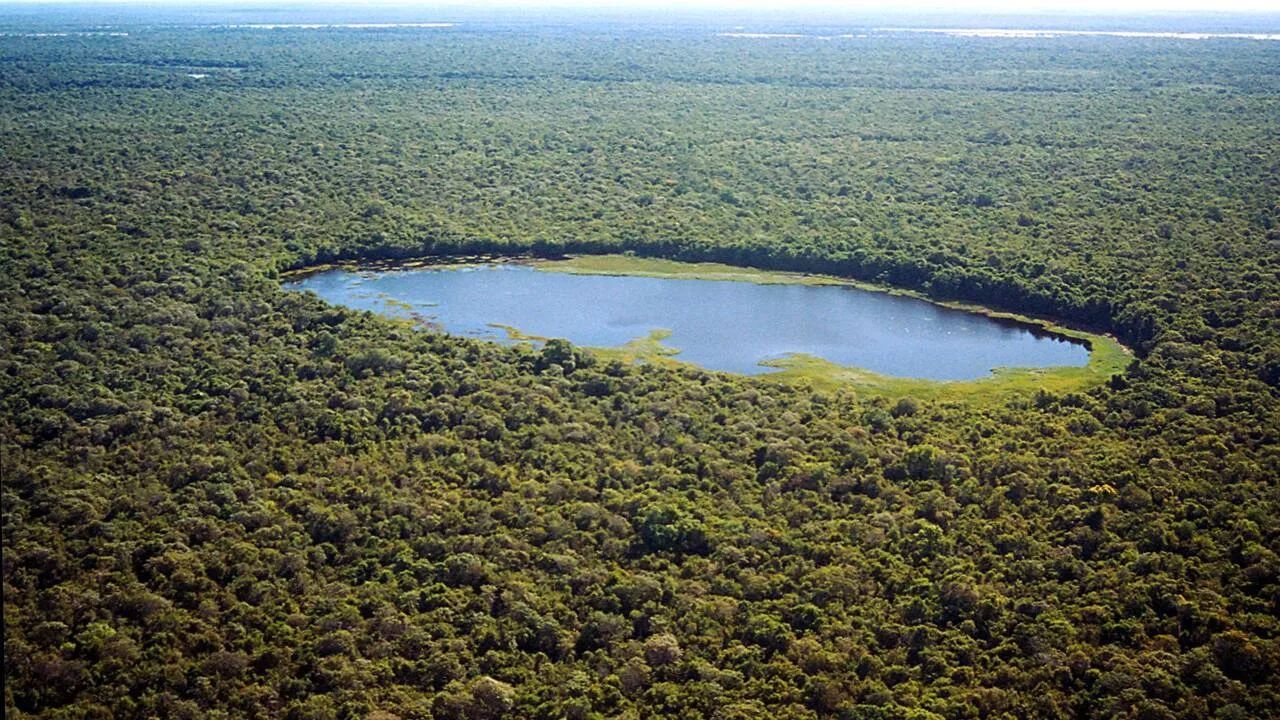 Carbonext adota modelo de franquia para escalar créditos de carbono na Amazônia