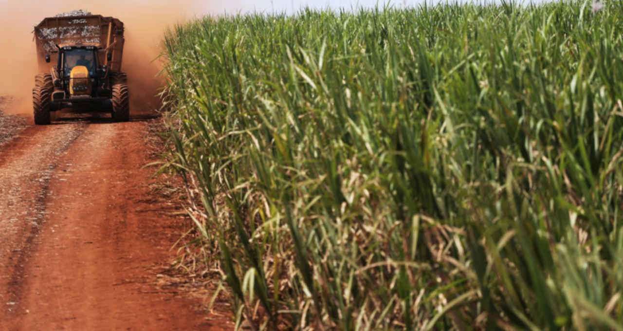A tempestade perfeita no agro: Goldman Sachs alerta para o choque triplo
