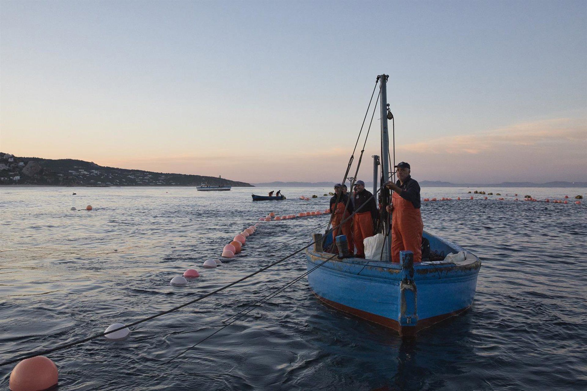 UE busca acordo sobre subsídios à pesca para renovar frota
