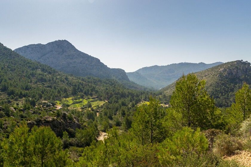 Mallorca entre a esponja e a máquina
