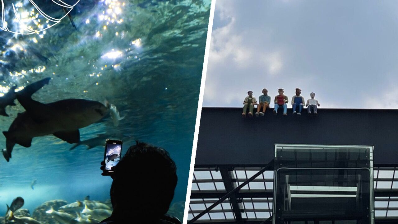 Parque Tepeyac: o gigante de concreto que homenageia o trabalhador e abriga um oceano urbano