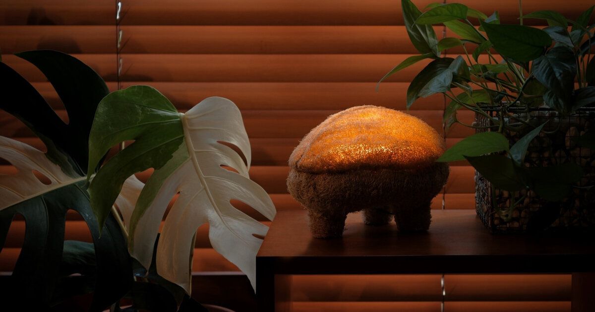 Justin Wan cria luminária com micélio e bucha vegetal — o futuro dos materiais regenerativos