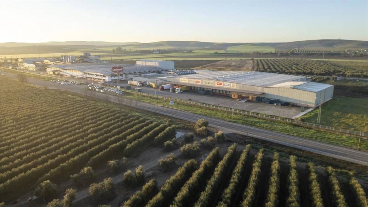 Azeite, pátria e capital: a venda da Deoleo testa a Espanha