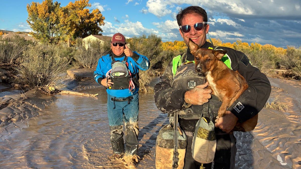 Guias de rafting resgatam pets em inundações históricas no Novo México
