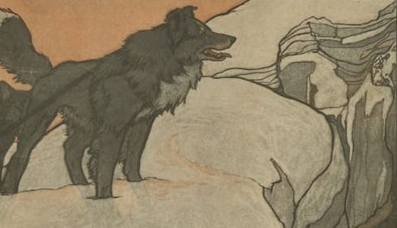 O cão que nos julga: a literatura usa animais para refletir sobre a humanidade