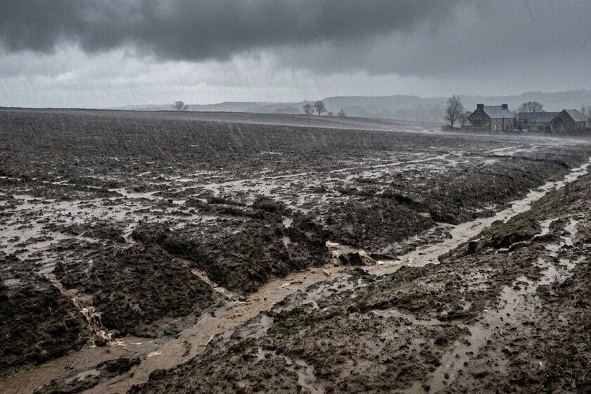 França removeu suas cercas vivas. A conta chegou com a chuva