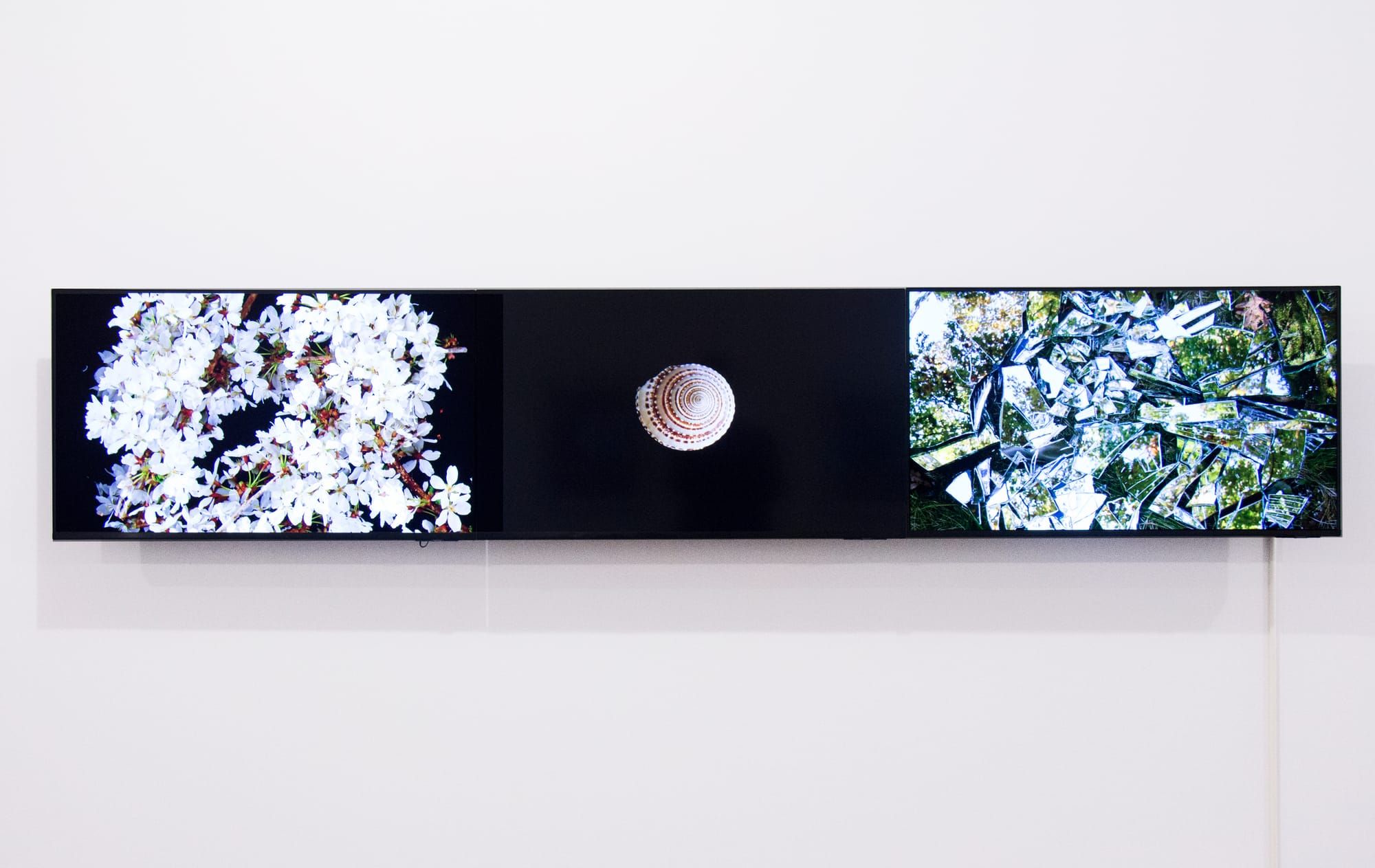 Frank Gillette: a arte que usou tecnologia para documentar a crise ambiental