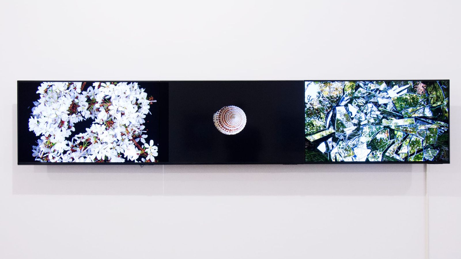 Frank Gillette: a arte que usou tecnologia para documentar a crise ambiental