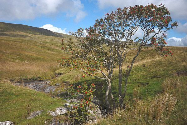 O abismo inglês que guarda ossos e segredos centenários