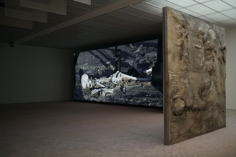 Pierre Huyghe transforma Fondation Beyeler em um labirinto de dualidades