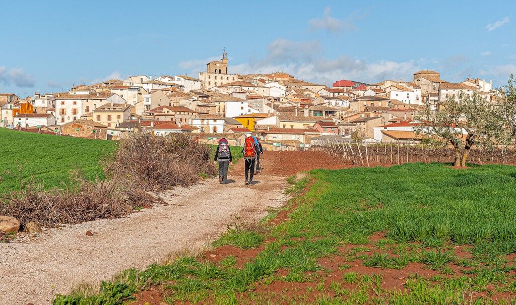 Polagrino: Voluntariado no Caminho de Santiago ou trabalho disfarçado?