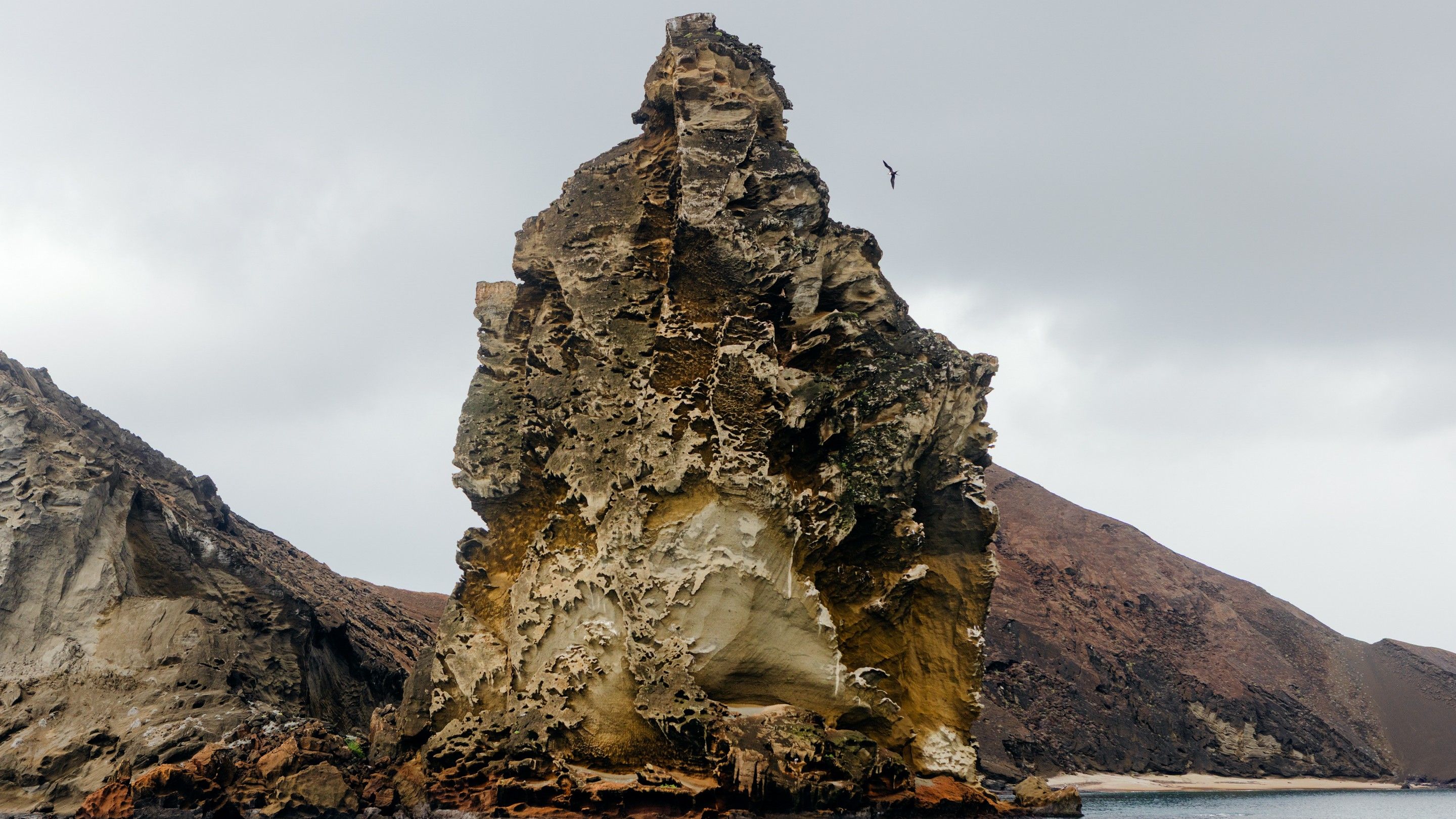 Galápagos hoje — o laboratório de Darwin sob a lente da preservação