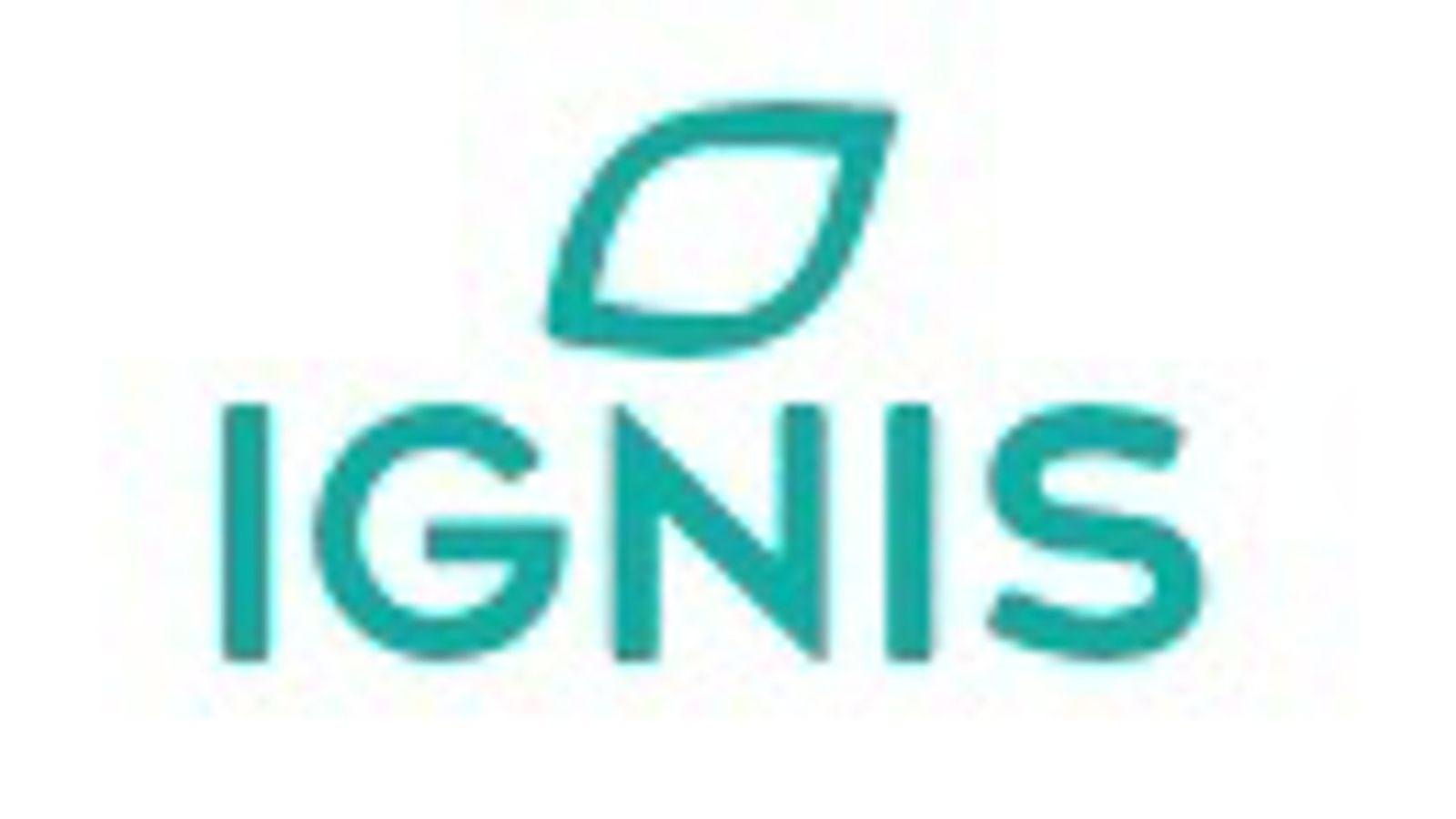 Ignis vende 656 MW de renováveis na Itália para grupo flyRen