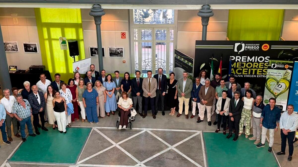 Para salvar o azeite, a Andaluzia aposta nos algoritmos