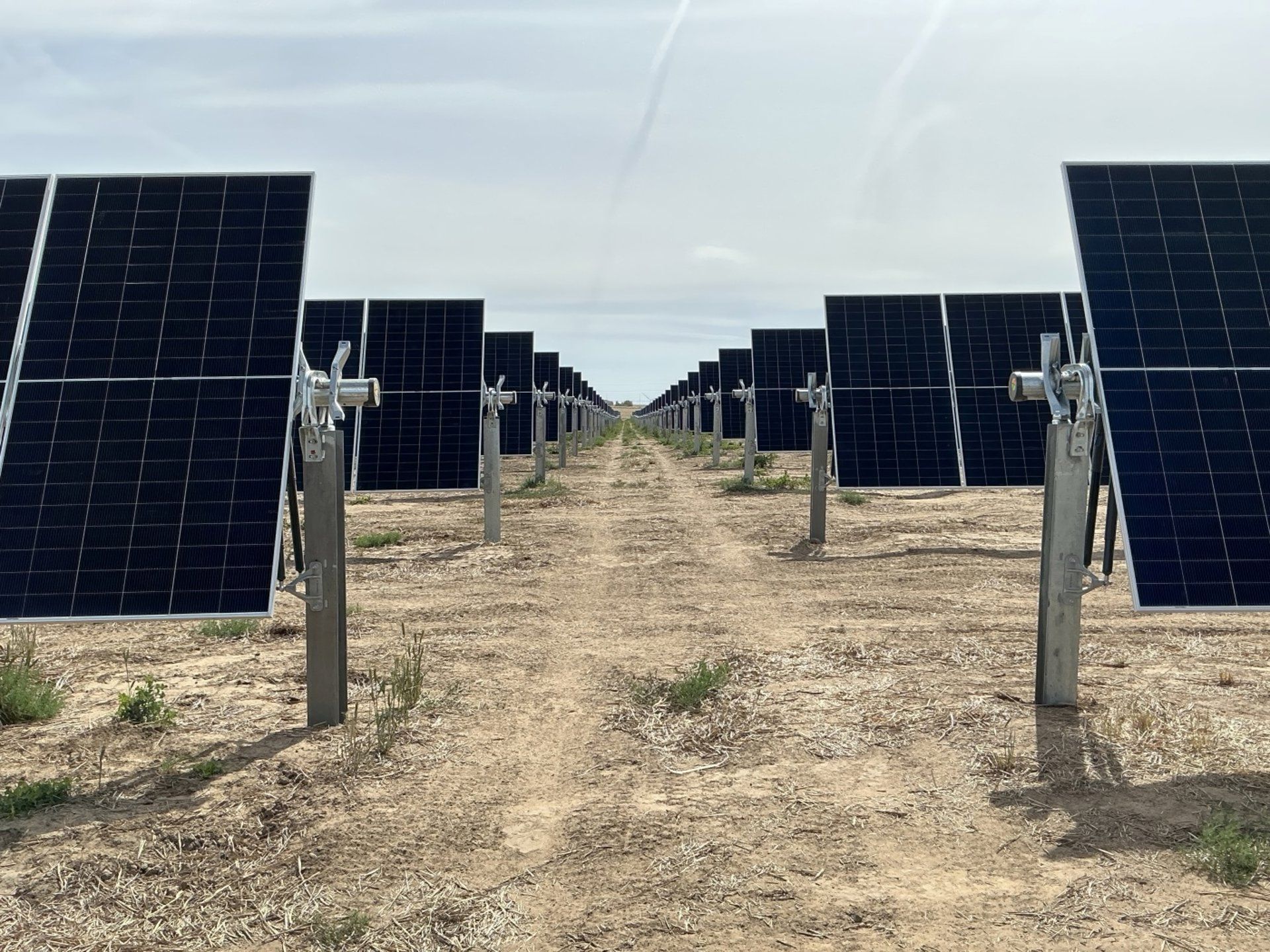 Iberdrola avança em renováveis nos EUA com nova planta solar de 57 MW