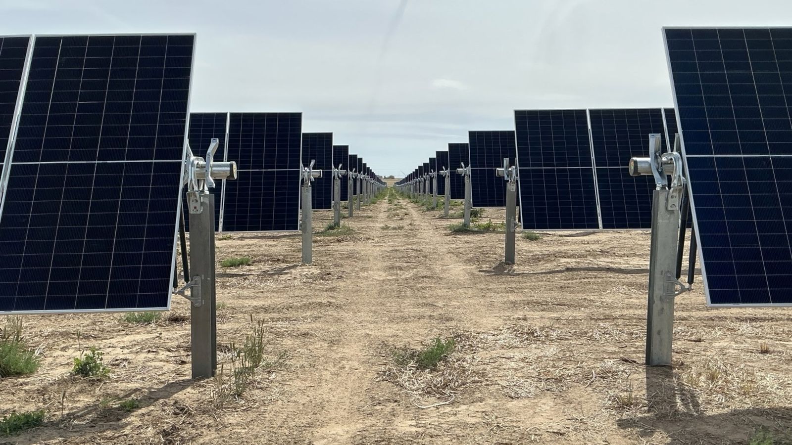 Iberdrola avança em renováveis nos EUA com nova planta solar de 57 MW