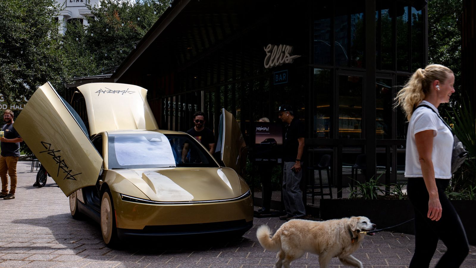 Tesla: o desafio de IA para não atropelar gatos no escuro
