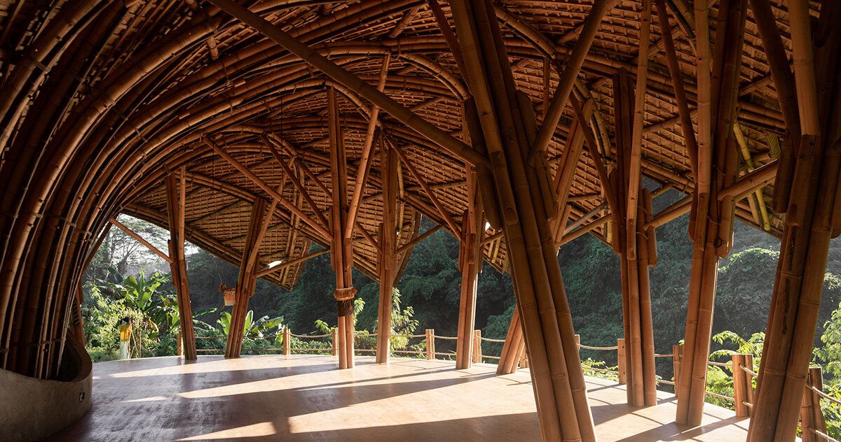 Em Bali, uma flor de bambu brota à beira do rio