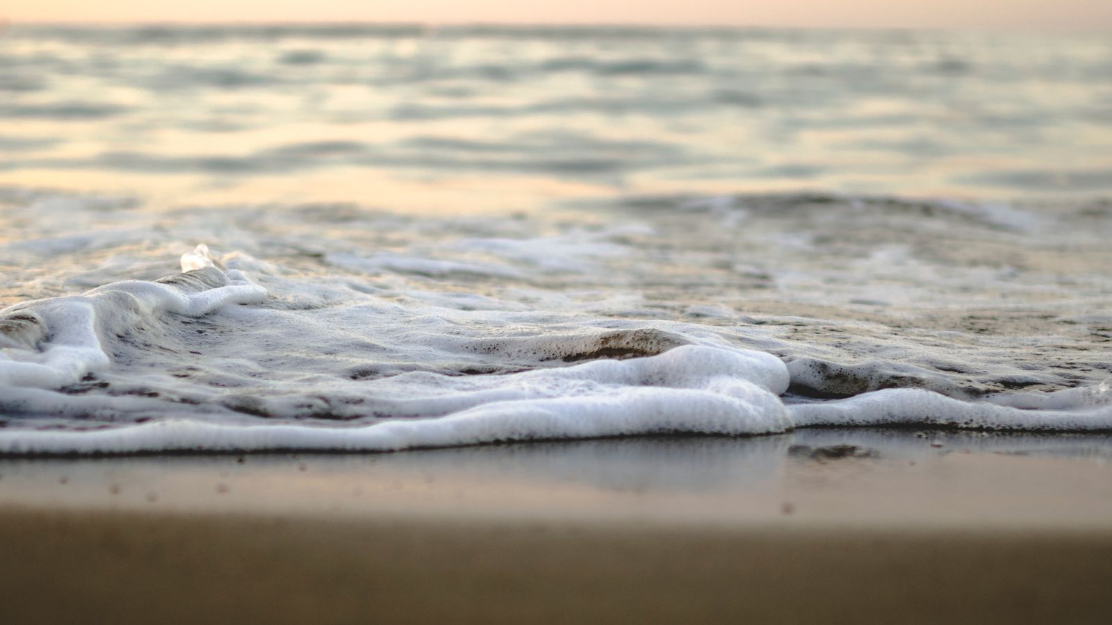 O paradoxo salgado: a resiliência frágil dos ecossistemas microbianos