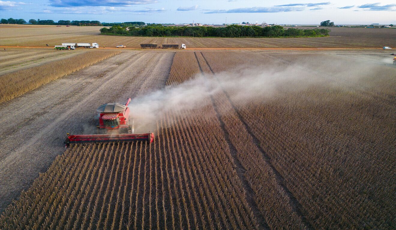 Super El Niño: Agro brasileiro desprotegido com seguro rural mínimo