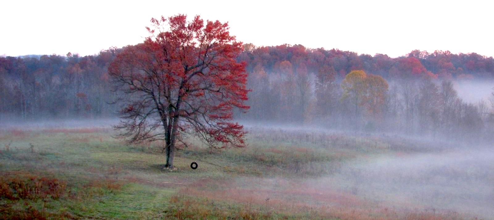 Wendell Berry se foi. Sua heresia contra o progresso fica