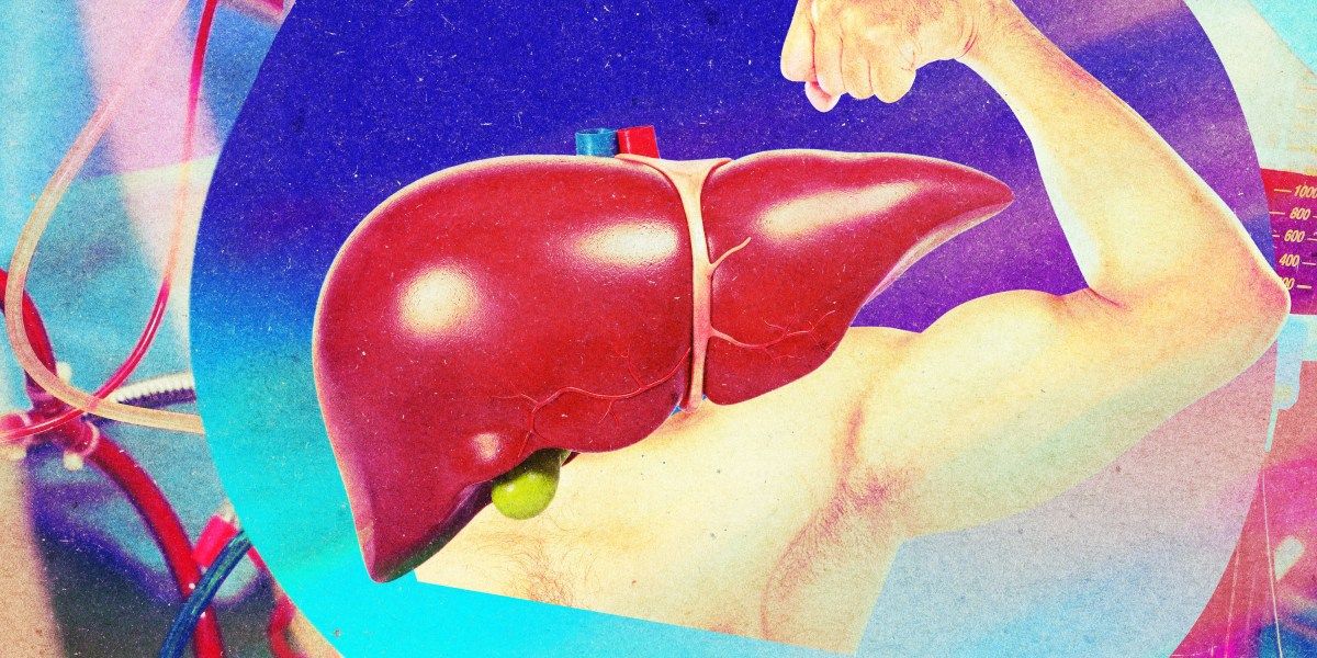 Fígados doados, agora mais jovens: a máquina que engana o tempo